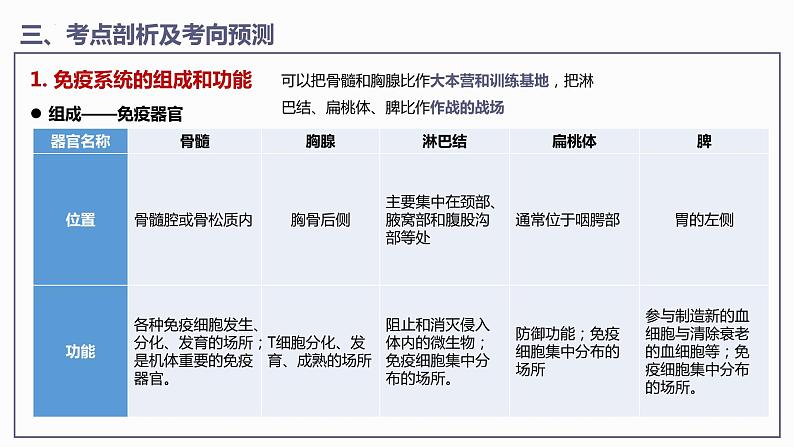 第4章 免疫调节【过知识】（课件）-2022-2023学年高二生物单元复习（人教版2019选择性必修1）07