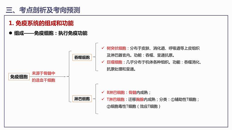 第4章 免疫调节【过知识】（课件）-2022-2023学年高二生物单元复习（人教版2019选择性必修1）08