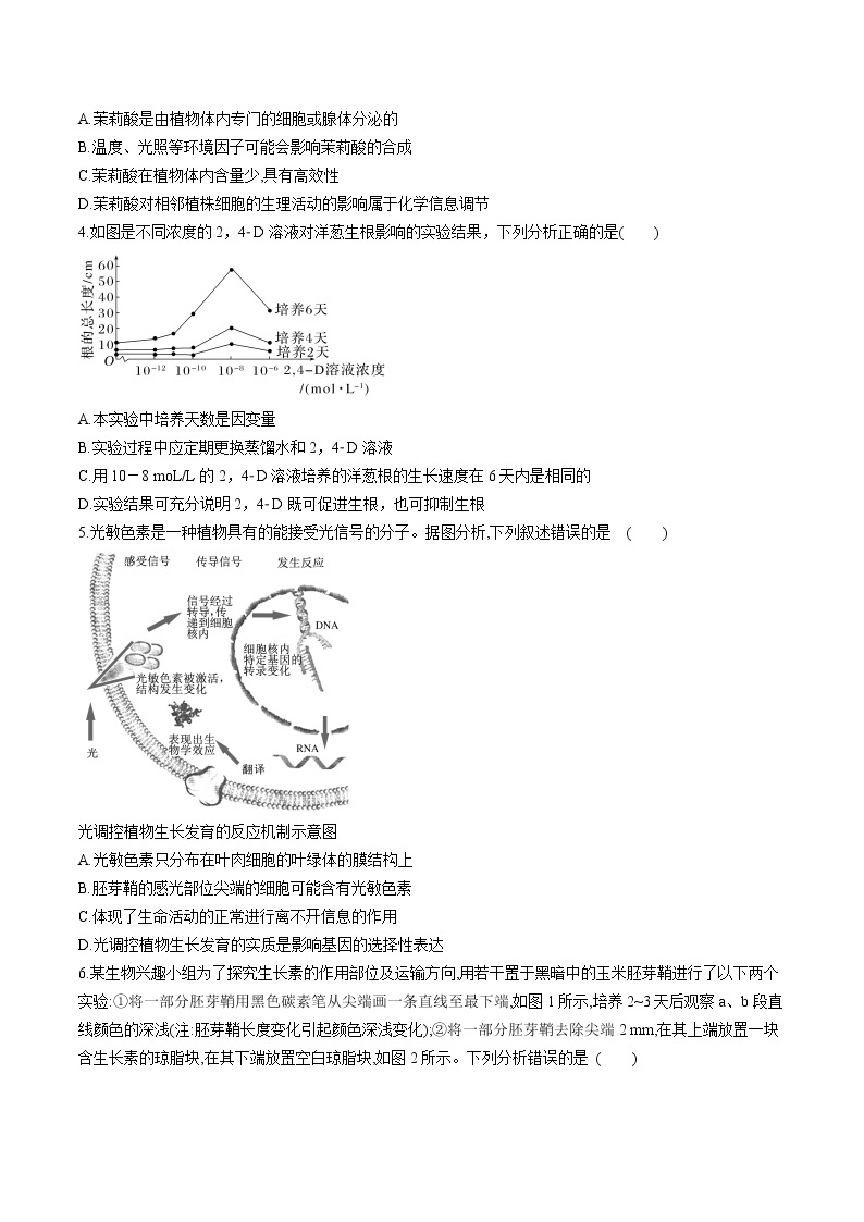 第5章 植物生命活动的调节【过习题】-2022-2023学年高二生物单元复习（人教版2019选择性必修1）03