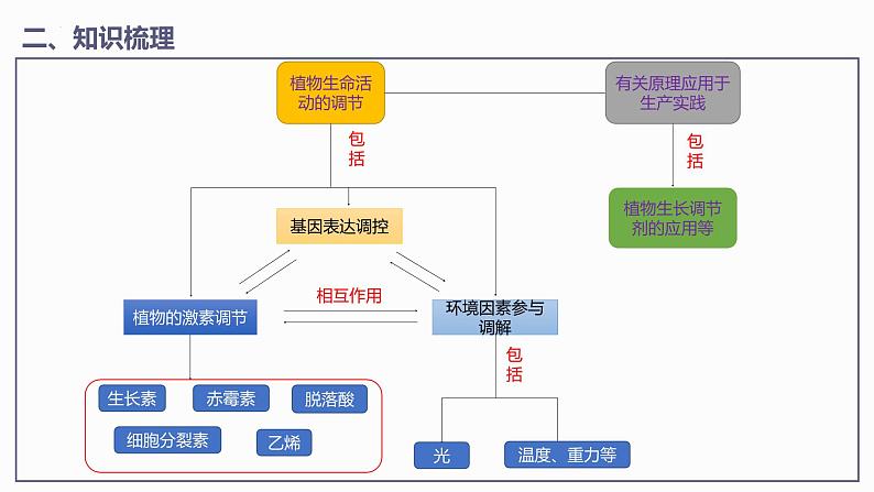 第5章 植物生命活动的调节【过知识】（课件）-2022-2023学年高二生物单元复习（人教版2019选择性必修1）第6页