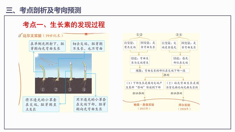 第5章 植物生命活动的调节【过知识】（课件）-2022-2023学年高二生物单元复习（人教版2019选择性必修1）第7页