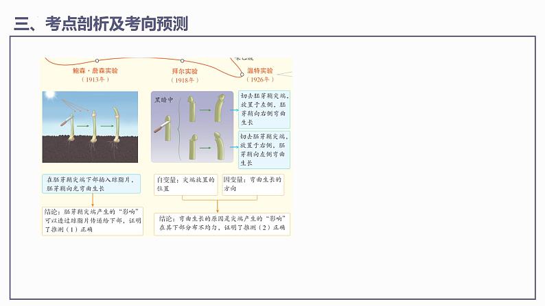 第5章 植物生命活动的调节【过知识】（课件）-2022-2023学年高二生物单元复习（人教版2019选择性必修1）第8页