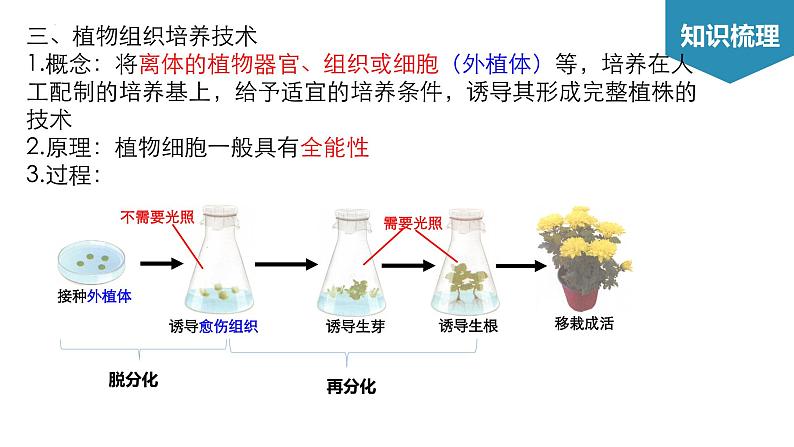 第2章 细胞工程（考点串讲课件）-2022-2023学年高二生物单元复习（人教版2019选择性必修3）05