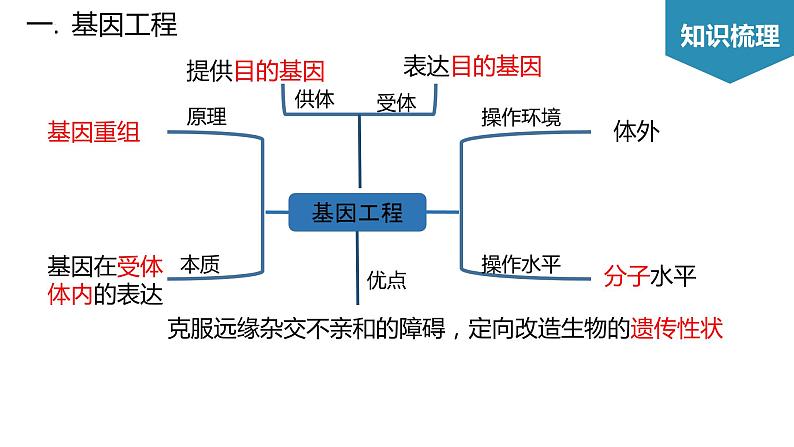 第3章 基因工程（考点串讲课件）-2022-2023学年高二生物单元复习（人教版2019选择性必修3）03