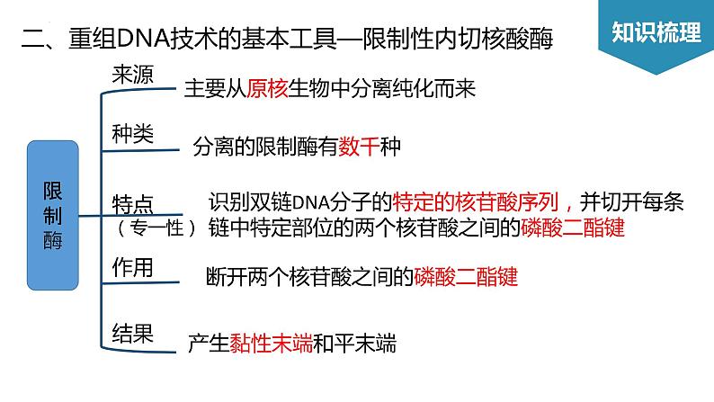 第3章 基因工程（考点串讲课件）-2022-2023学年高二生物单元复习（人教版2019选择性必修3）05