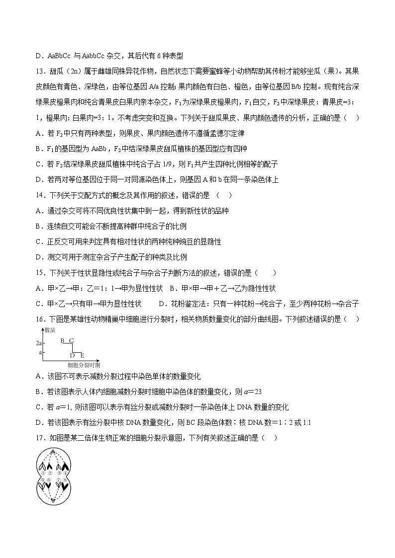 期中冲刺卷02-2022-2023学年高一生物下学期期中期末考点大串讲（人教版2019必修2）03