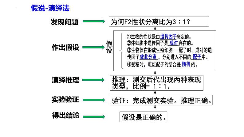 第1章 遗传因子的发现（复习课件）-2022-2023学年高一生物下学期期中期末考点大串讲04