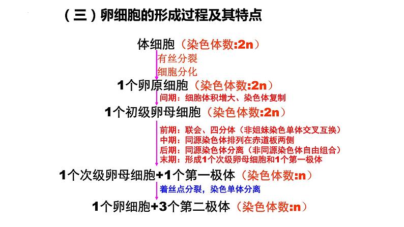 第2章 基因和染色体的关系（复习课件）-2022-2023学年高一生物下学期期中期末考点大串讲07