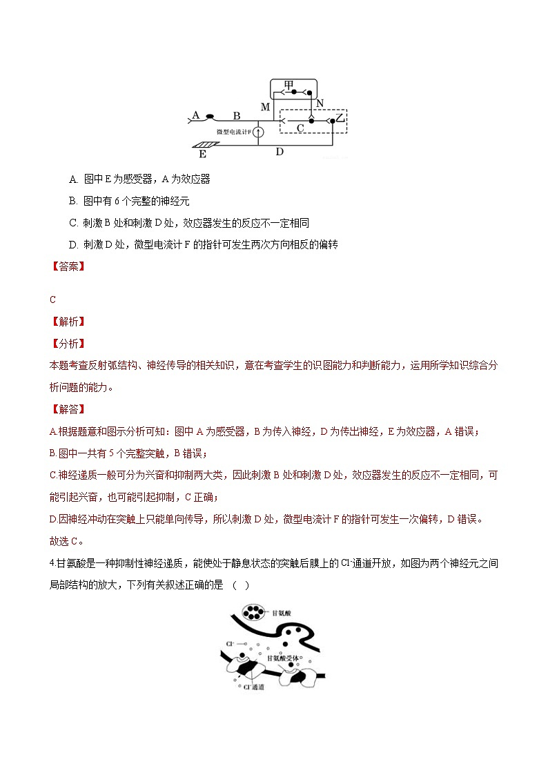 第2章 神经调节（能力提升练）-【单元测试】高二生物分层训练AB卷（人教版2019选择性必修1）03