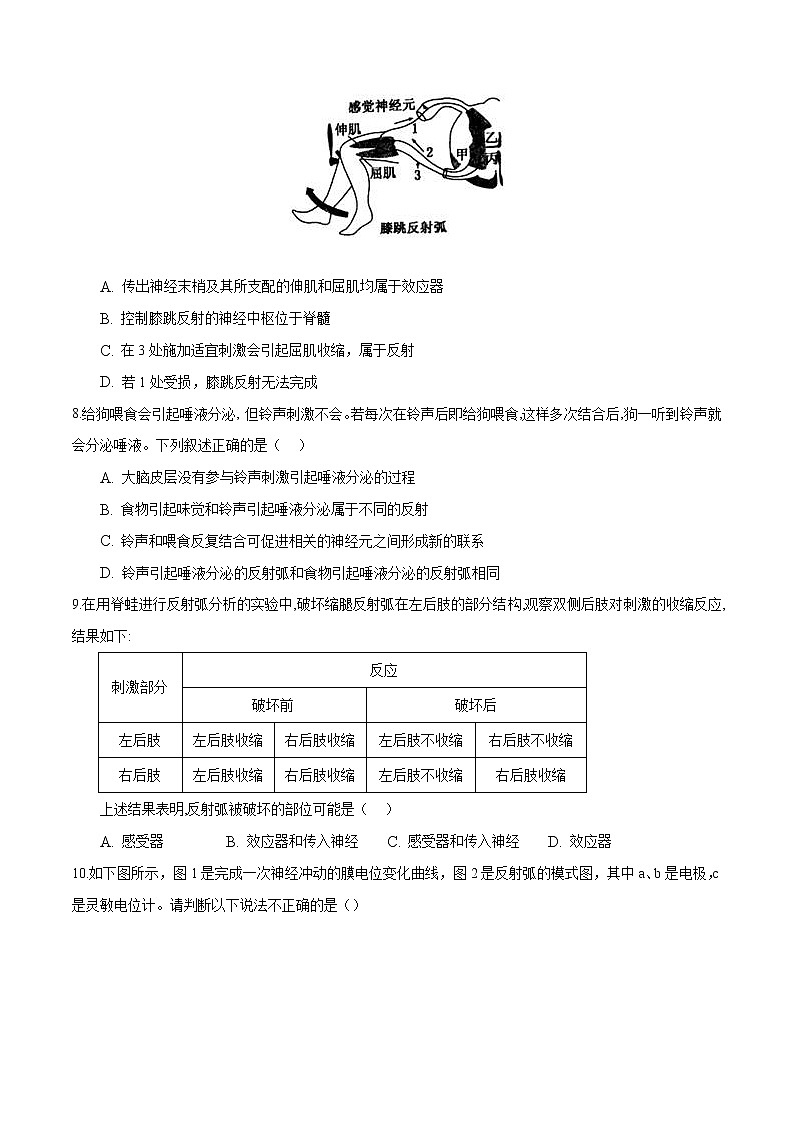 第2章 神经调节（能力提升练）-【单元测试】高二生物分层训练AB卷（人教版2019选择性必修1）03