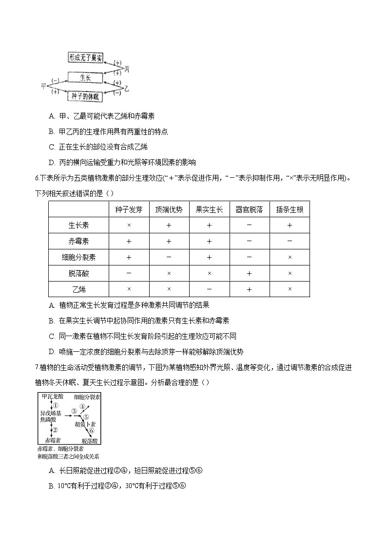 第5章  植物生命活动的调节（知识通关练）-【单元测试】高二生物分层训练AB卷（人教版2019选择性必修1）02