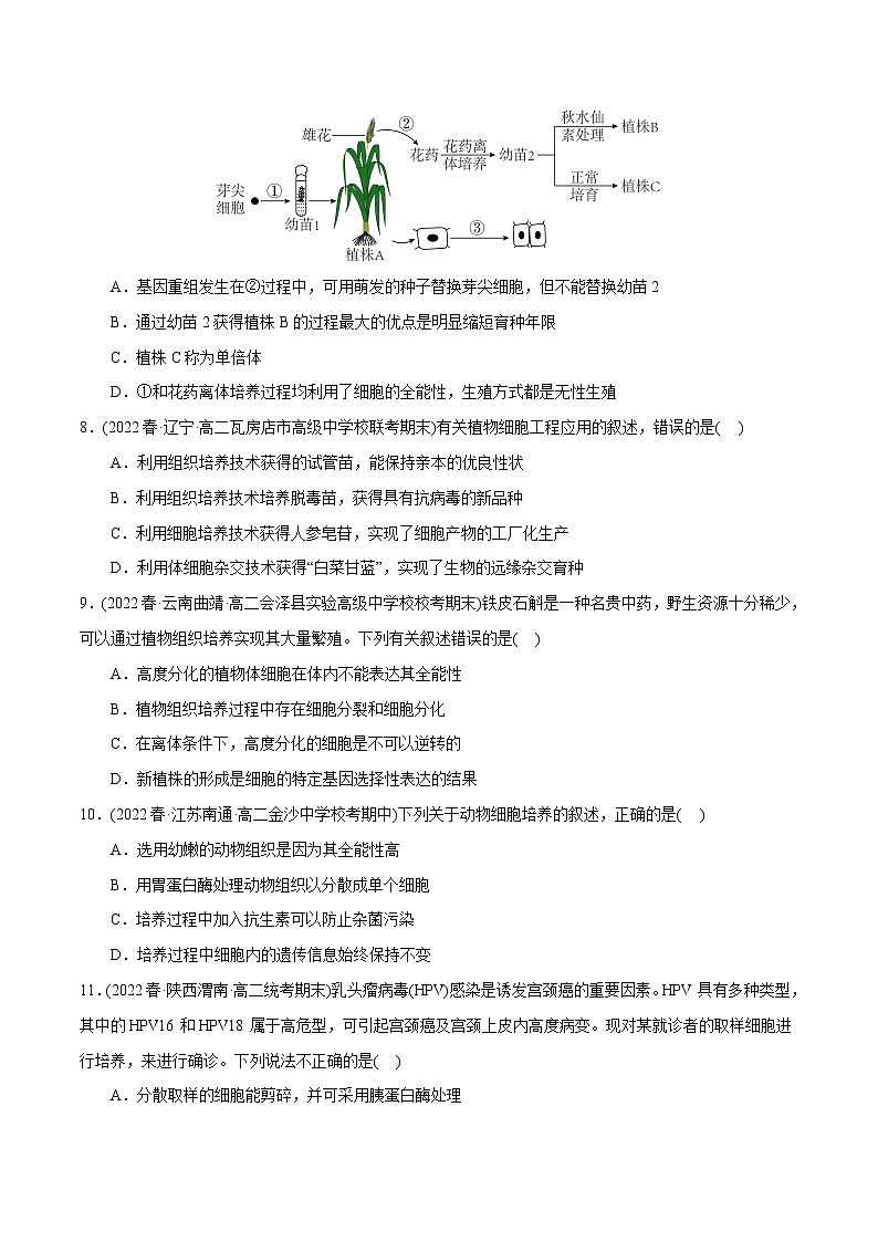 第2章 细胞工程（B卷·能力提升练）-【单元测试】2022-2023学年高二生物分层训练AB卷（人教版2019选择性必修3）03