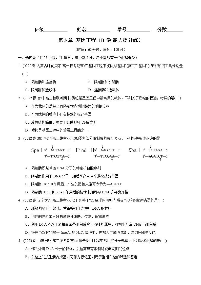 第3章 基因工程（B卷·能力提升练）-【单元测试】2022-2023学年高二生物分层训练AB卷（2019人教版生物学选择性必修3）01