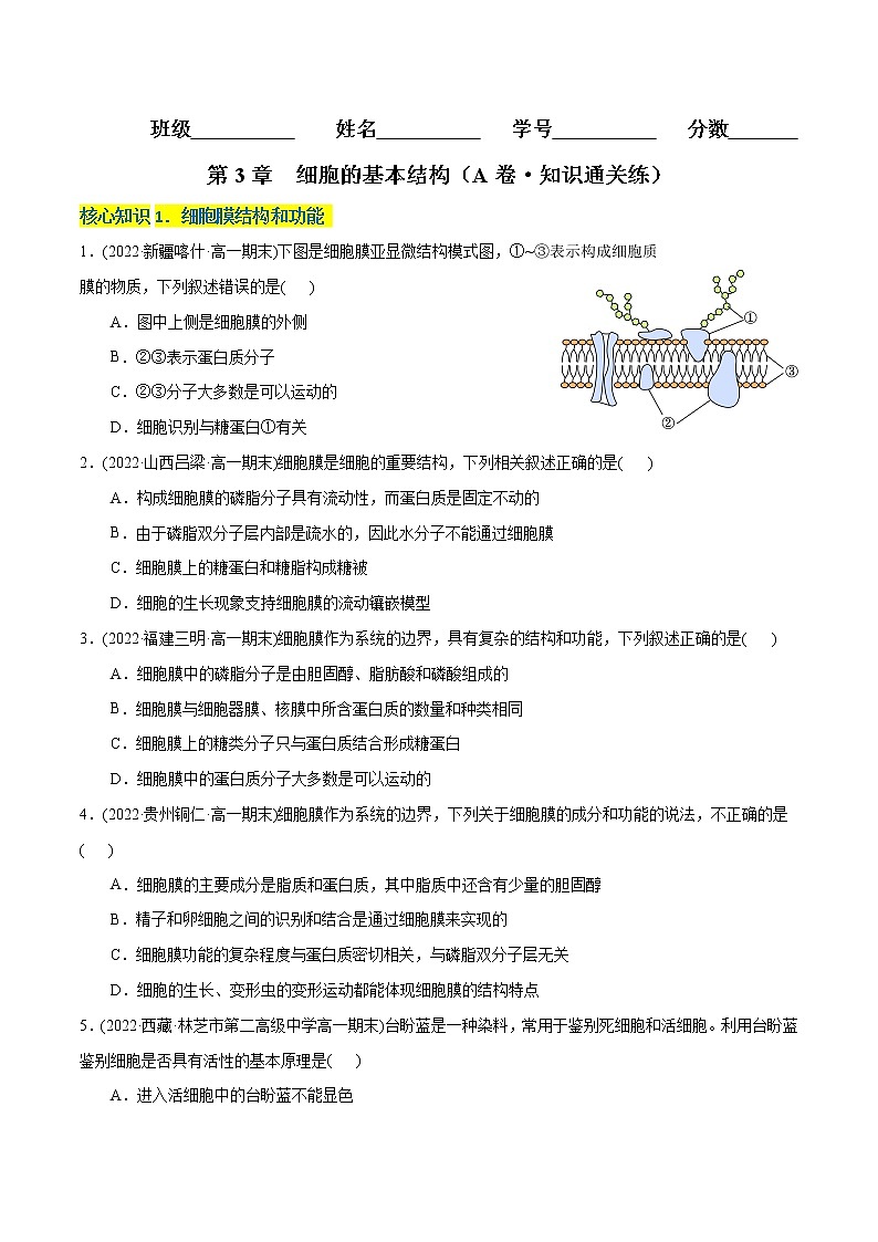 第3章 细胞的基本结构（A卷·知识通关练）-【单元测试】高一生物分层训练AB卷（2019人教版必修1）01