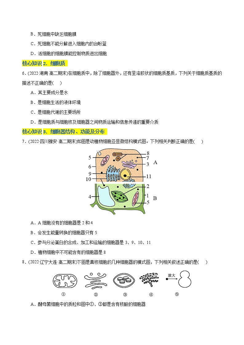 第3章 细胞的基本结构（A卷·知识通关练）-【单元测试】高一生物分层训练AB卷（2019人教版必修1）02