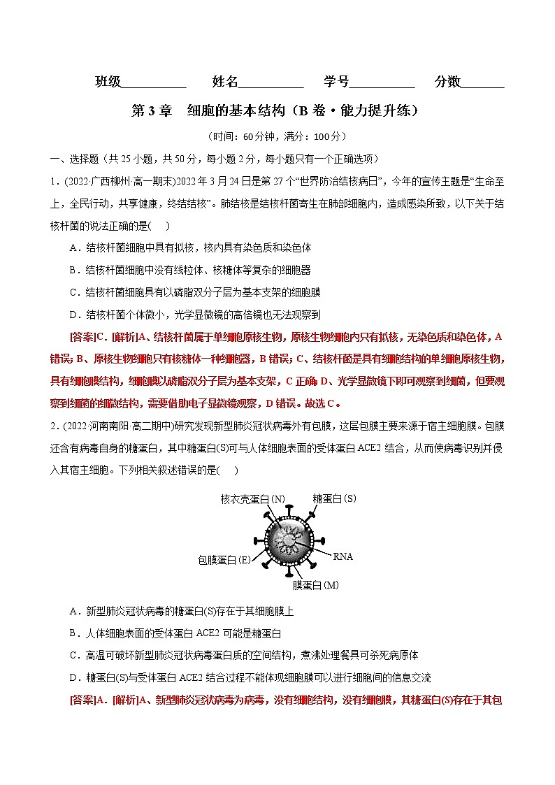 第3章  细胞的基本结构（B卷·能力提升练）（解析版） 第1页