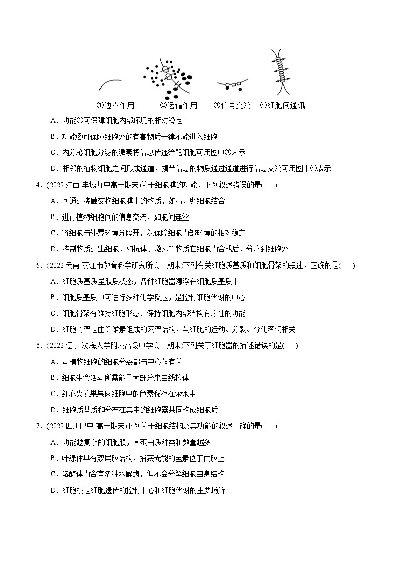 第3章  细胞的基本结构（B卷·能力提升练）（原卷版） 第2页