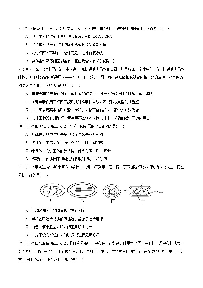 第3章  细胞的基本结构（B卷·能力提升练）（原卷版） 第3页