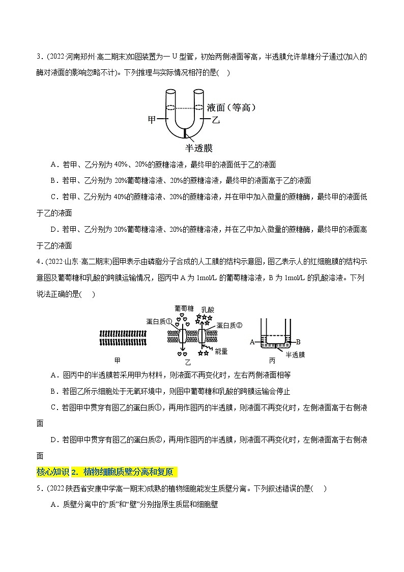第4章  细胞的物质输入和输出（A卷·知识通关练）（原卷版） 第2页
