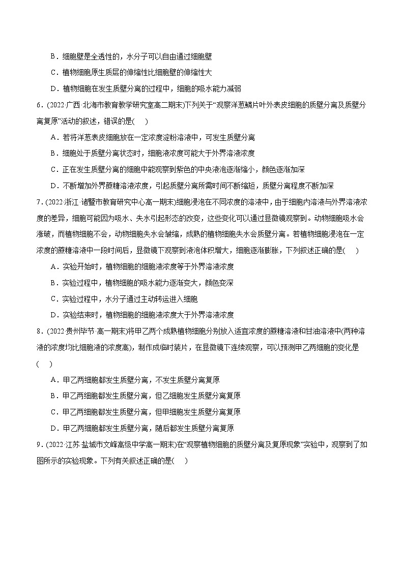 第4章  细胞的物质输入和输出（A卷·知识通关练）（原卷版） 第3页