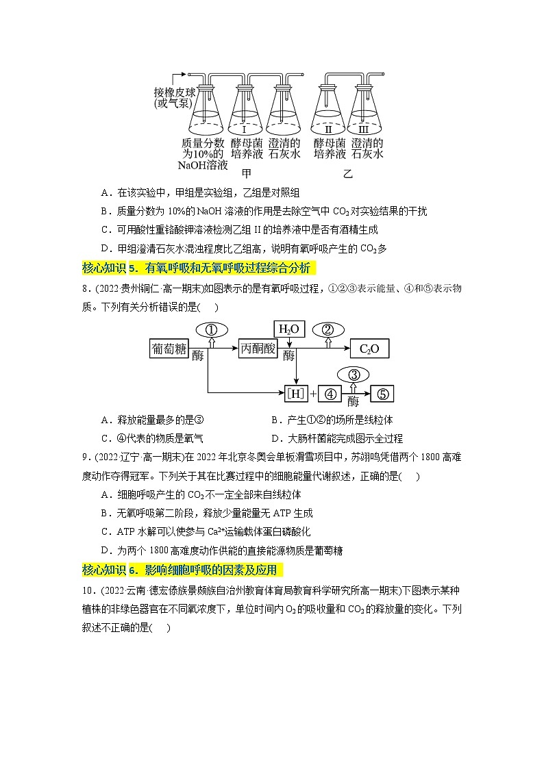 第5章 细胞的能量供应和利用（A卷·知识通关练）-【单元测试】高一生物分层训练AB卷（2019人教版必修1）03