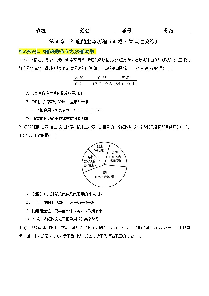 第6章 细胞的生命历程（A卷·知识通关练）-【单元测试】高一生物分层训练AB卷（2019人教版必修1）01