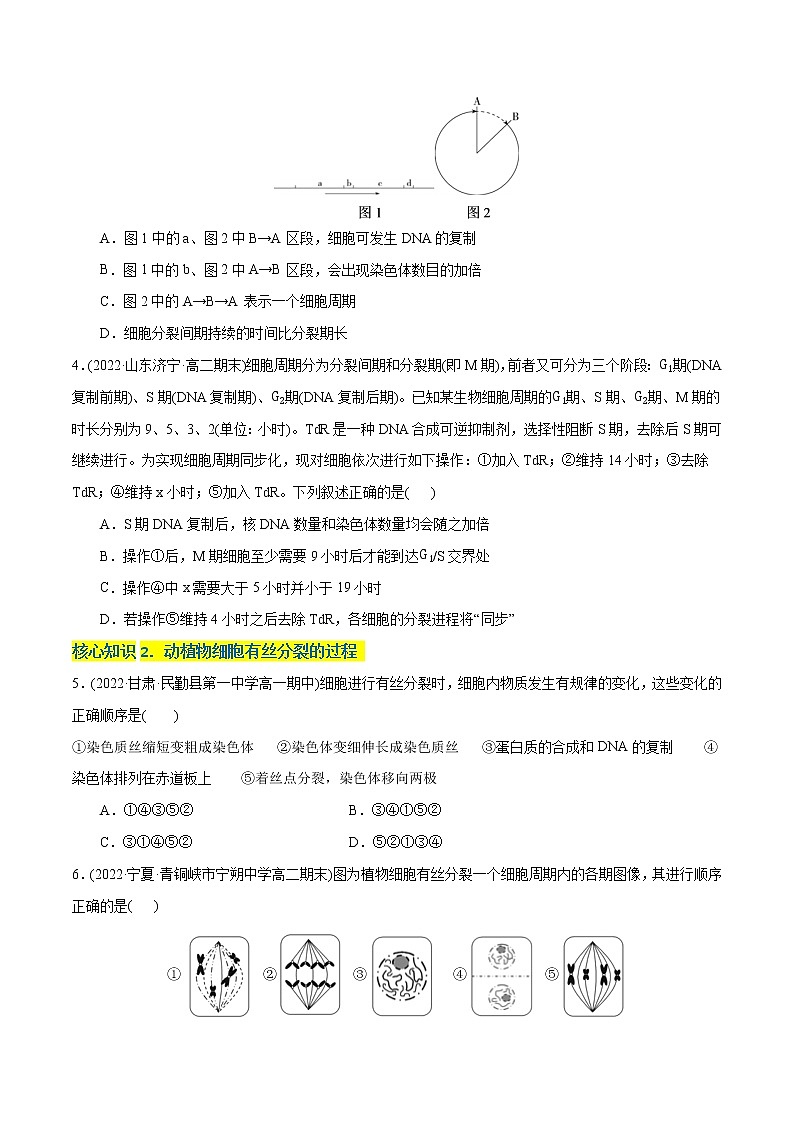 第6章 细胞的生命历程（A卷·知识通关练）-【单元测试】高一生物分层训练AB卷（2019人教版必修1）02