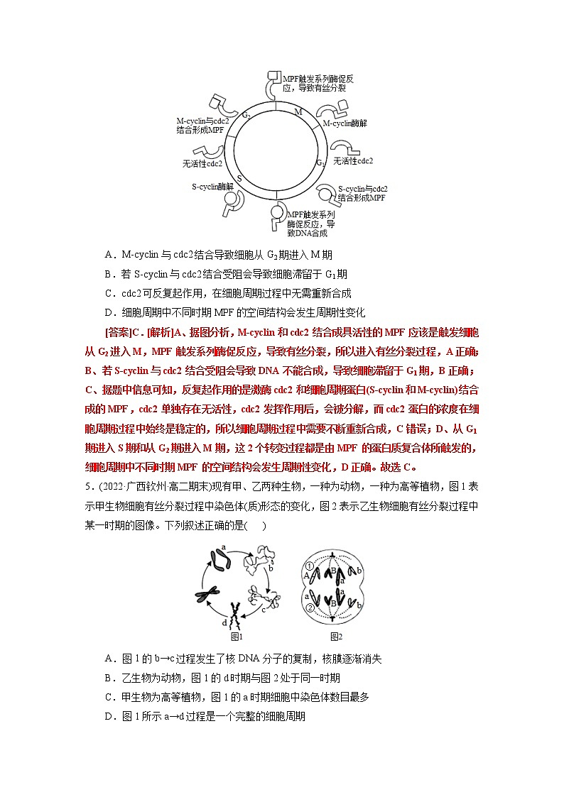 第6章 细胞的生命历程（B卷·能力提升练）-【单元测试】高一生物分层训练AB卷（2019人教版必修1）03