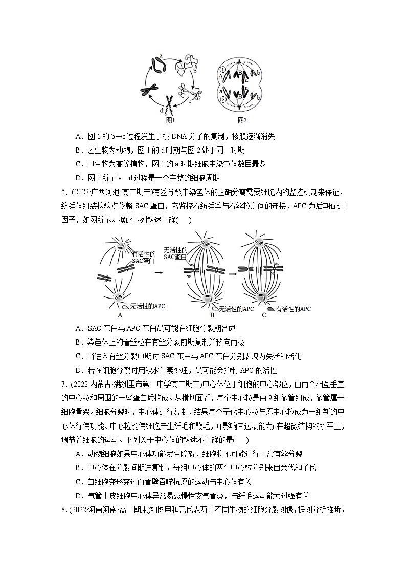 第6章 细胞的生命历程（B卷·能力提升练）-【单元测试】高一生物分层训练AB卷（2019人教版必修1）03