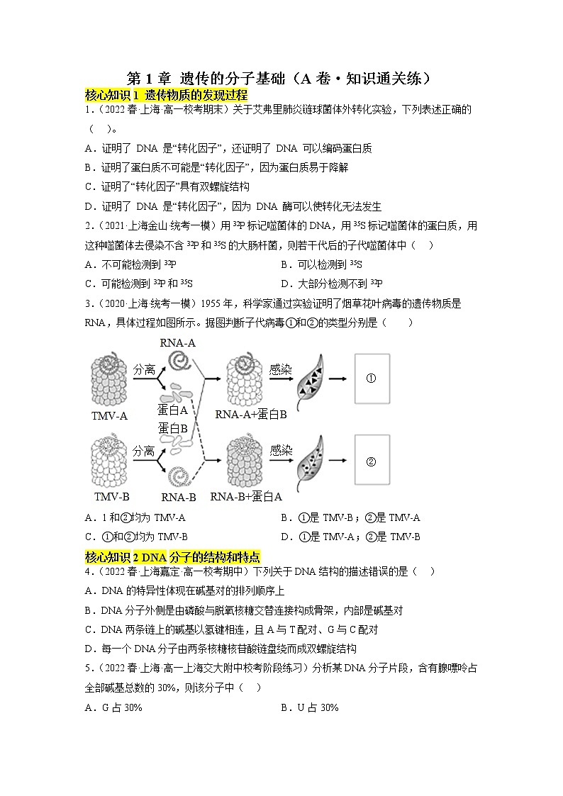 第1章 遗传的分子基础（A卷·知识通关练） -【单元测试】2022-2023学年高一生物分层训练AB卷（沪科版2020必修2）01