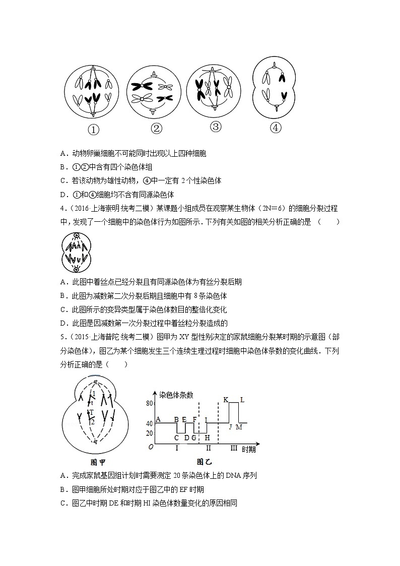 第2章 有性生殖中的遗传信息传递（B卷·能力提升练）-【单元测试】2022-2023学年高一生物分层训练AB卷（沪科版2020必修2）02