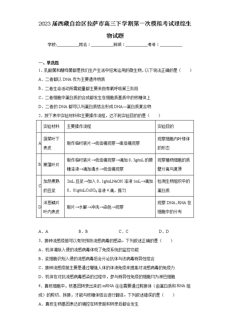 2023届西藏自治区拉萨市高三下学期第一次模拟考试理综生物试题（含答案）01