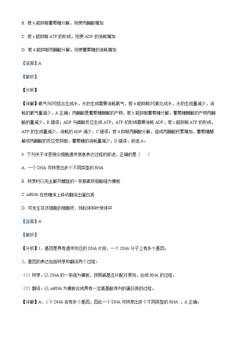 宁夏石嘴山市2021-2022学年三中高三三模理综生物试题  Word版含解析第3页