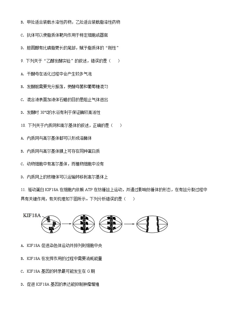 2021-2022学年浙江省绍兴市高三下学期4月二模生物试题含解析03