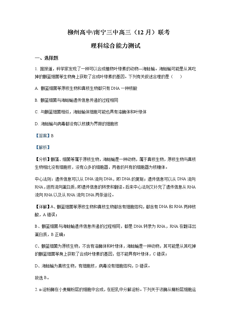 2022-2023学年广西柳州市高级中学、南宁市三中高三12月联考理综生物含解析 试卷01