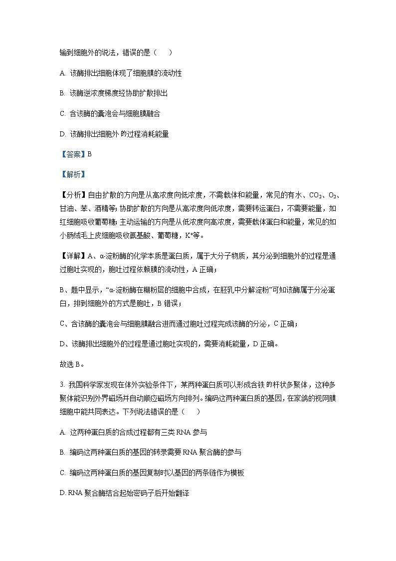 2022-2023学年广西柳州市高级中学、南宁市三中高三12月联考理综生物含解析 试卷02