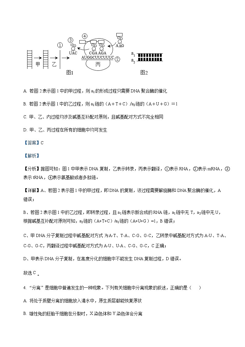 黑龙江省哈尔滨市九中2022-2023学年高三下学期开学测试理综 生物 Word版答案第3页