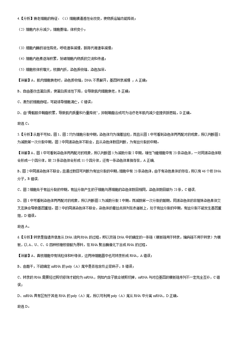 2022-2023学年湖北省高三下学期高考第六次适应性模拟考试生物试题Word版含答案02
