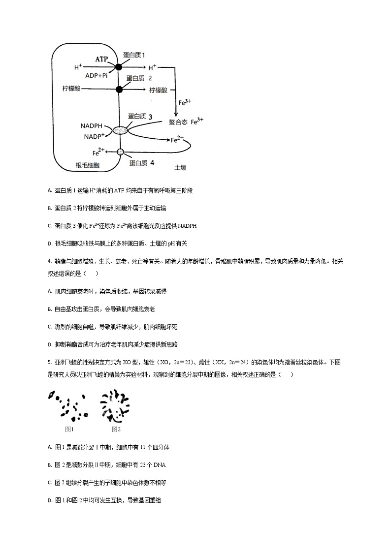 2022-2023学年湖北省高三下学期高考第六次适应性模拟考试生物试题Word版含答案02