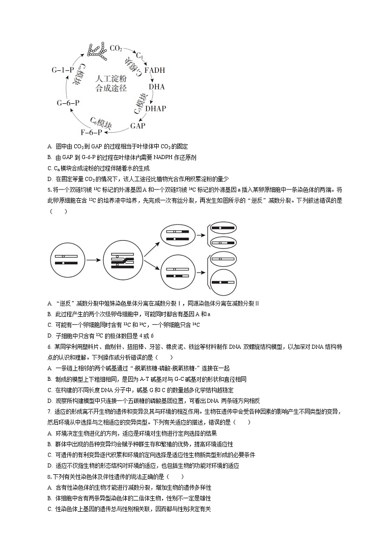 2022-2023学年湖北省高三下学期高考第五次适应性模拟测试生物含解析02