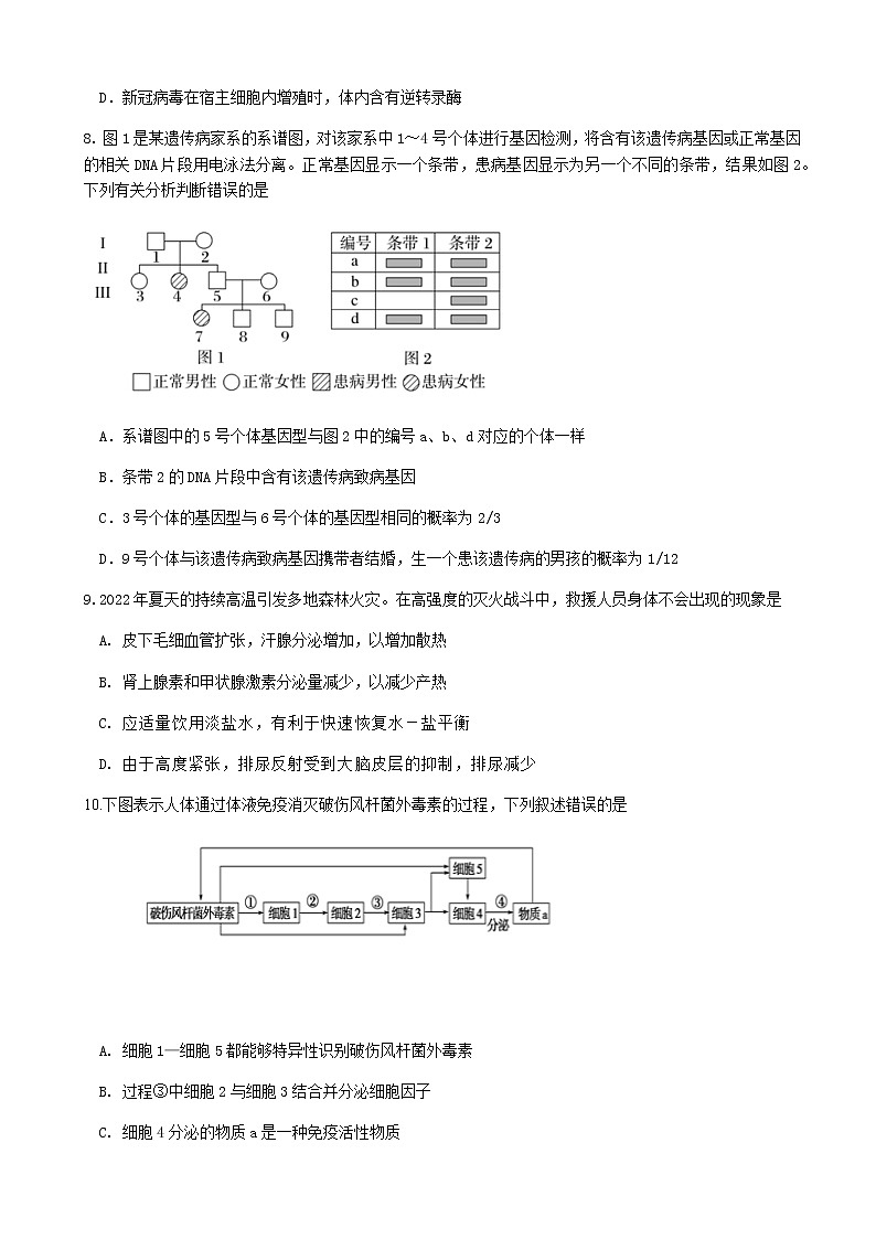 2022-2023学年湖南省长沙市长沙县、望城区、浏阳市、宁乡市、平江县高三下学期3月调研考试生物试题含答案03