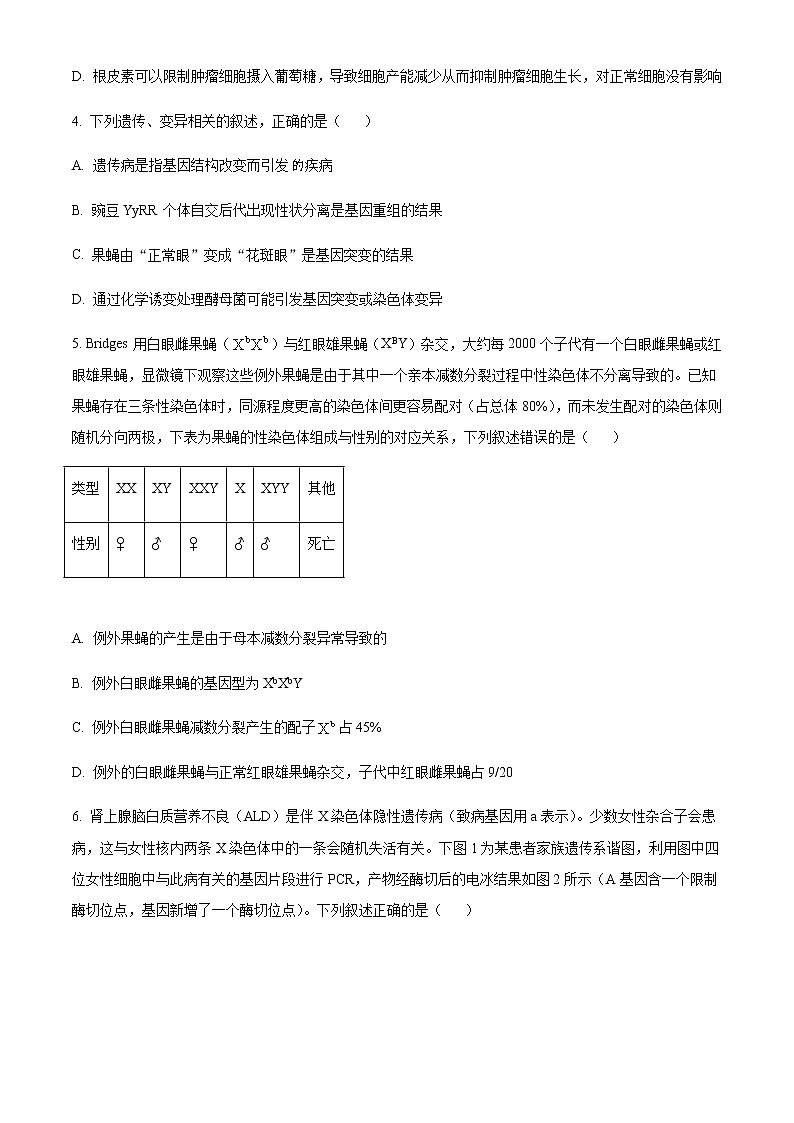 2022-2023学年湖南省郴州市高三下学期三模生物试题含答案第2页