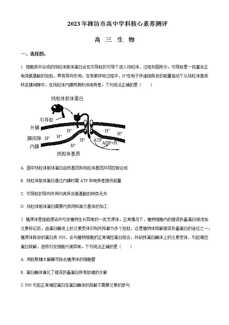 2022-2023学年山东省潍坊市高三下学期3月学科核心素养测评试题生物含答案第1页