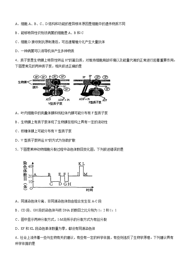 2022-2023学年天津市部分区高三下学期质量调查（一）（一模）生物试题含答案02