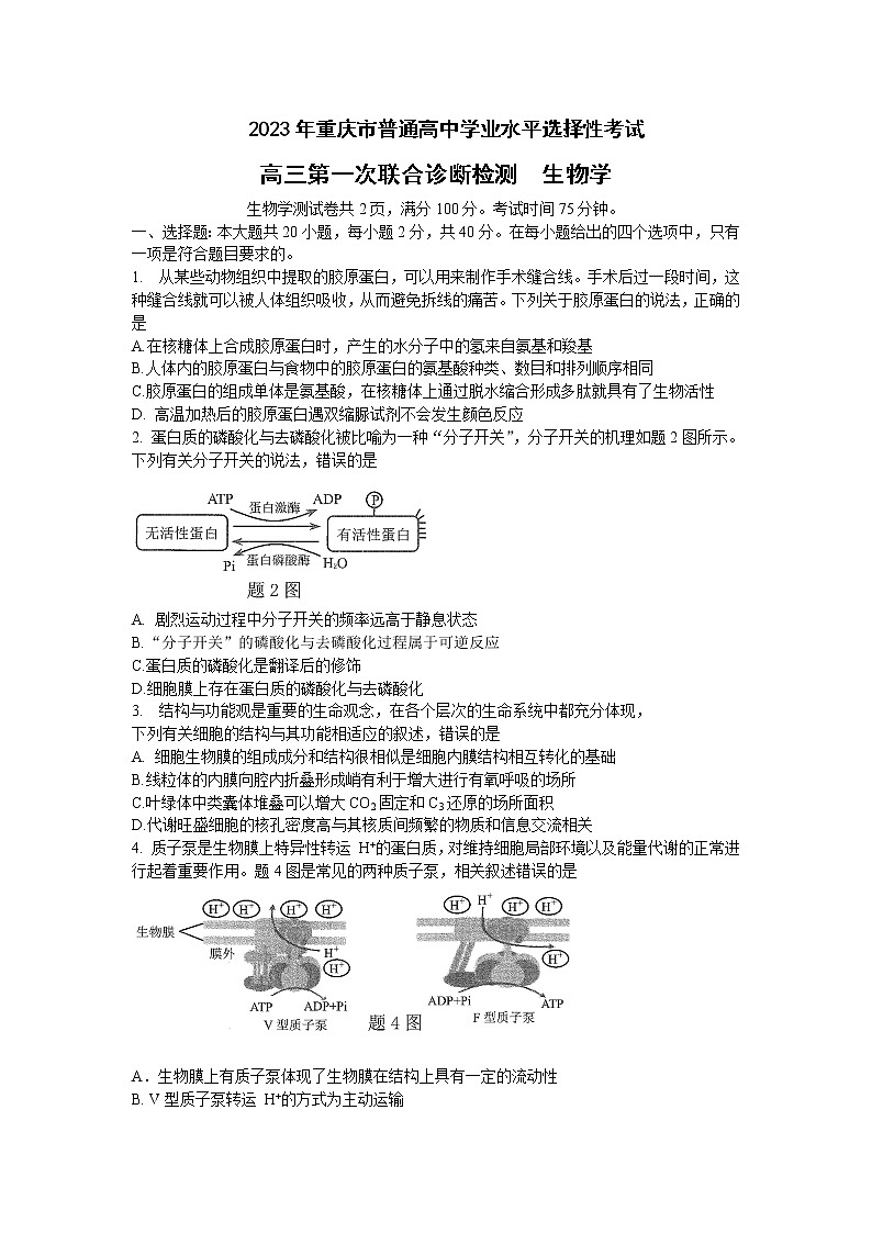 2022-2023学年重庆市高三上学期第一次联合诊断检测生物试题含解析01