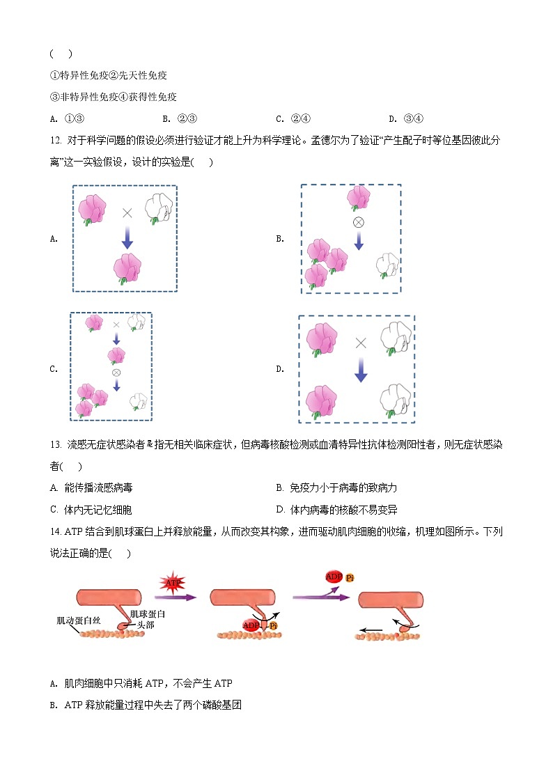 2022届上海市浦东新区高三二模生物试题含答案03