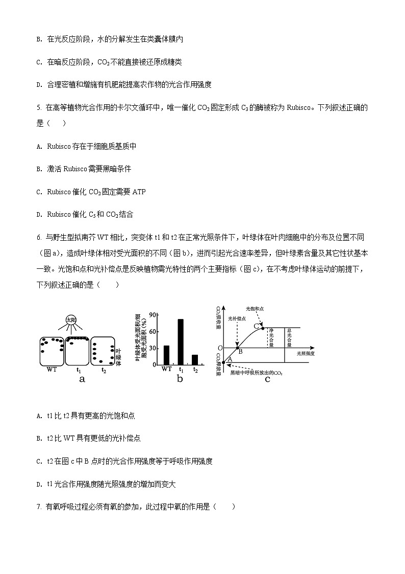 2022届上海市普陀区高三6月适应性练习试题（二模）生物试题含答案02
