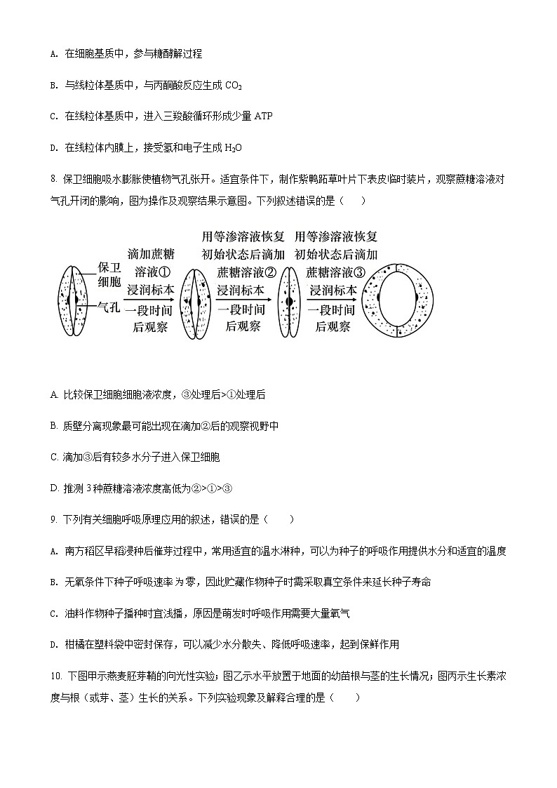 2022届上海市普陀区高三6月适应性练习试题（二模）生物试题含答案03