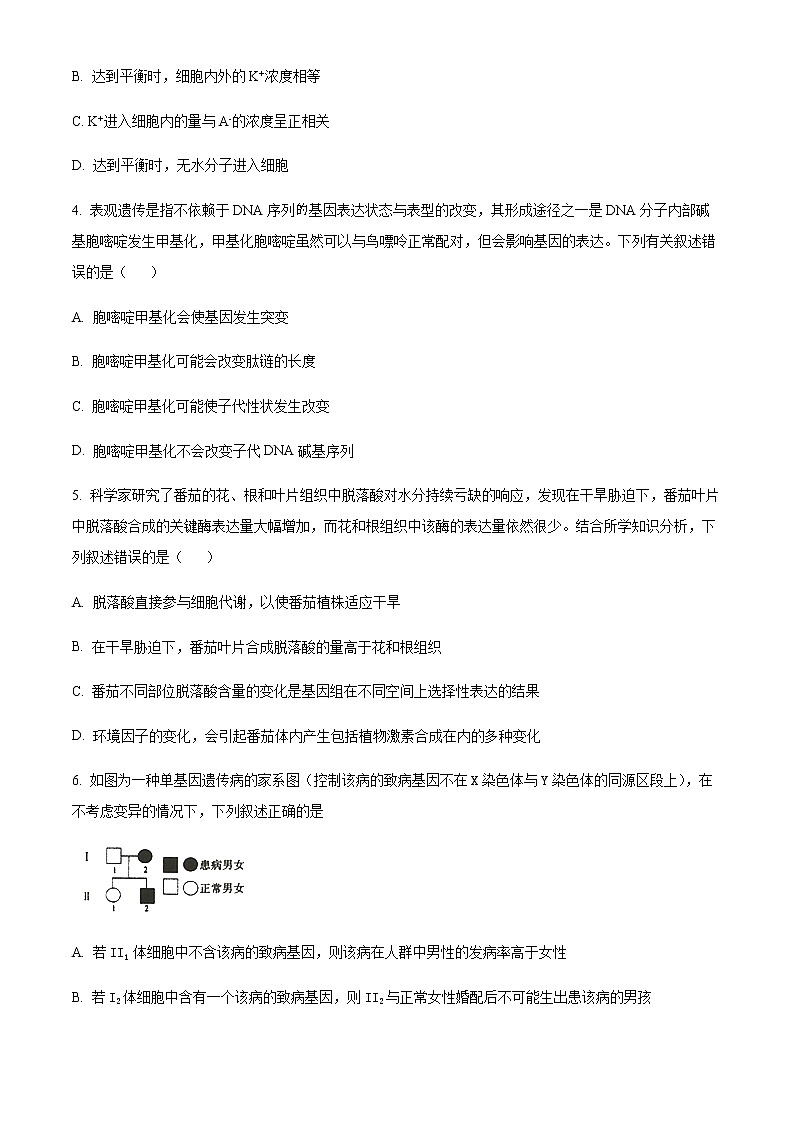 2022届四川省成都市外国语学校高三第二次诊断性考试生物试题  Word版无答案第2页