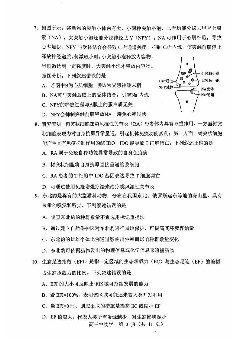 2023届辽宁省沈阳市高三二模 生物试题及答案第3页